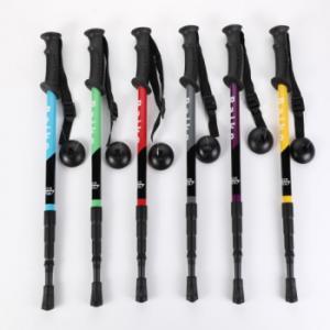 Trekking pole-11