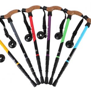 Trekking pole-21