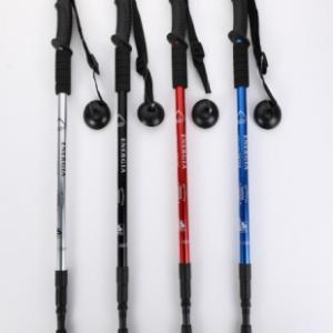 Trekking pole-4